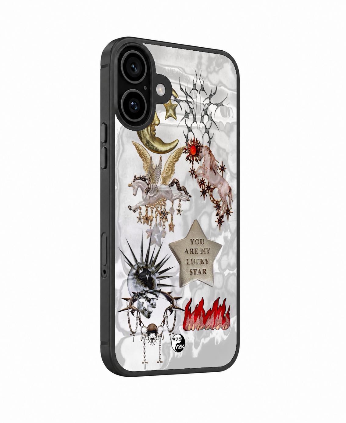 Pegasus Case