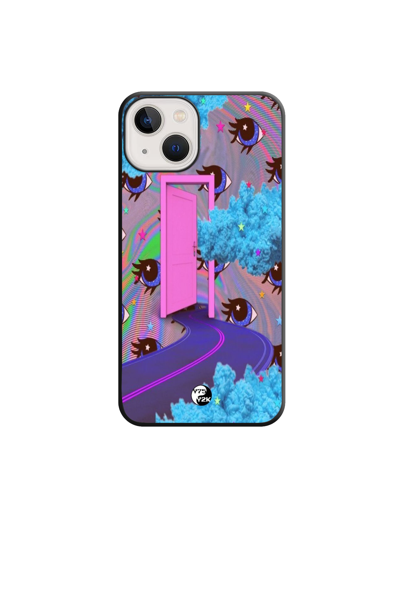 2013 Case