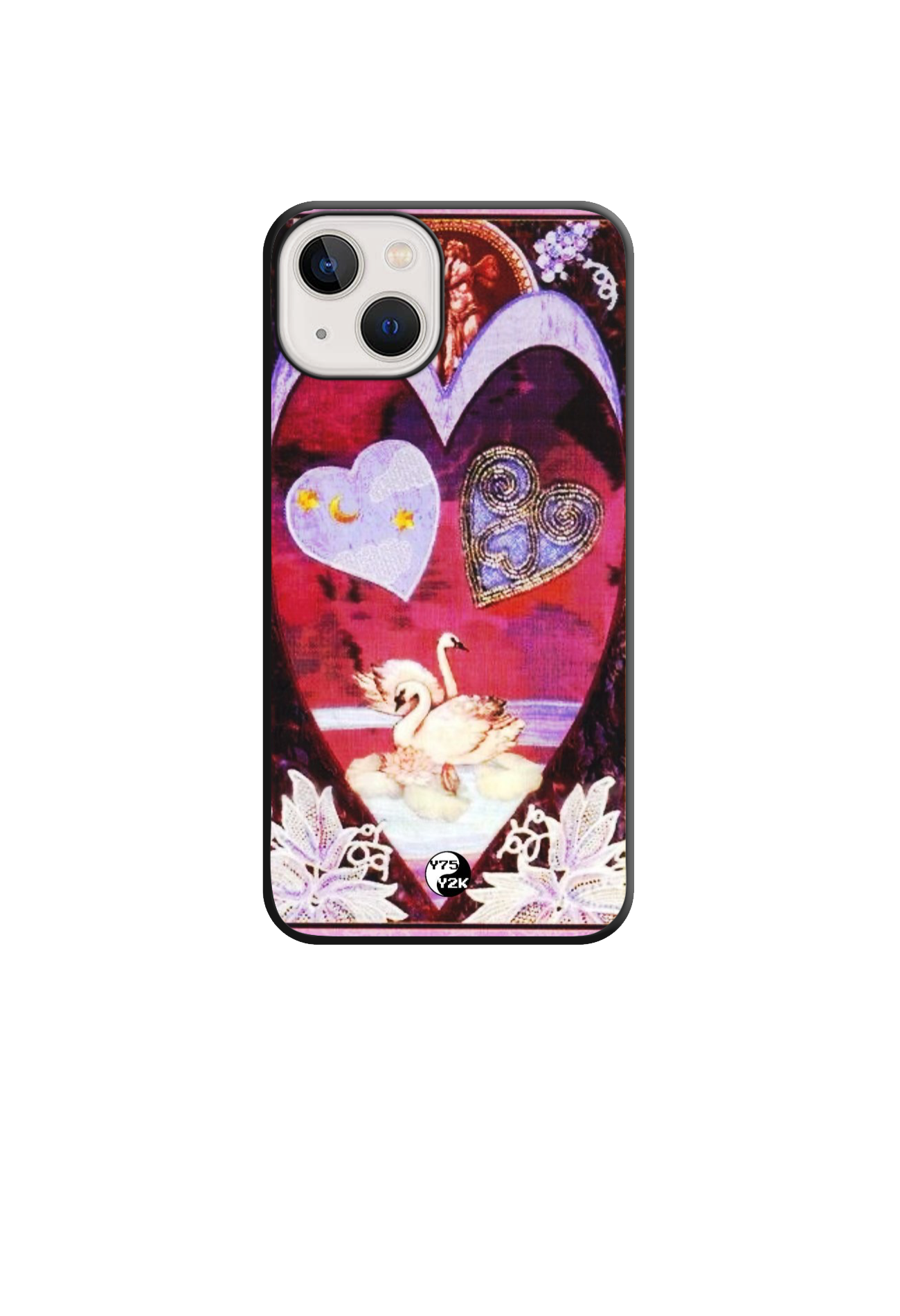 Swan Lake Case