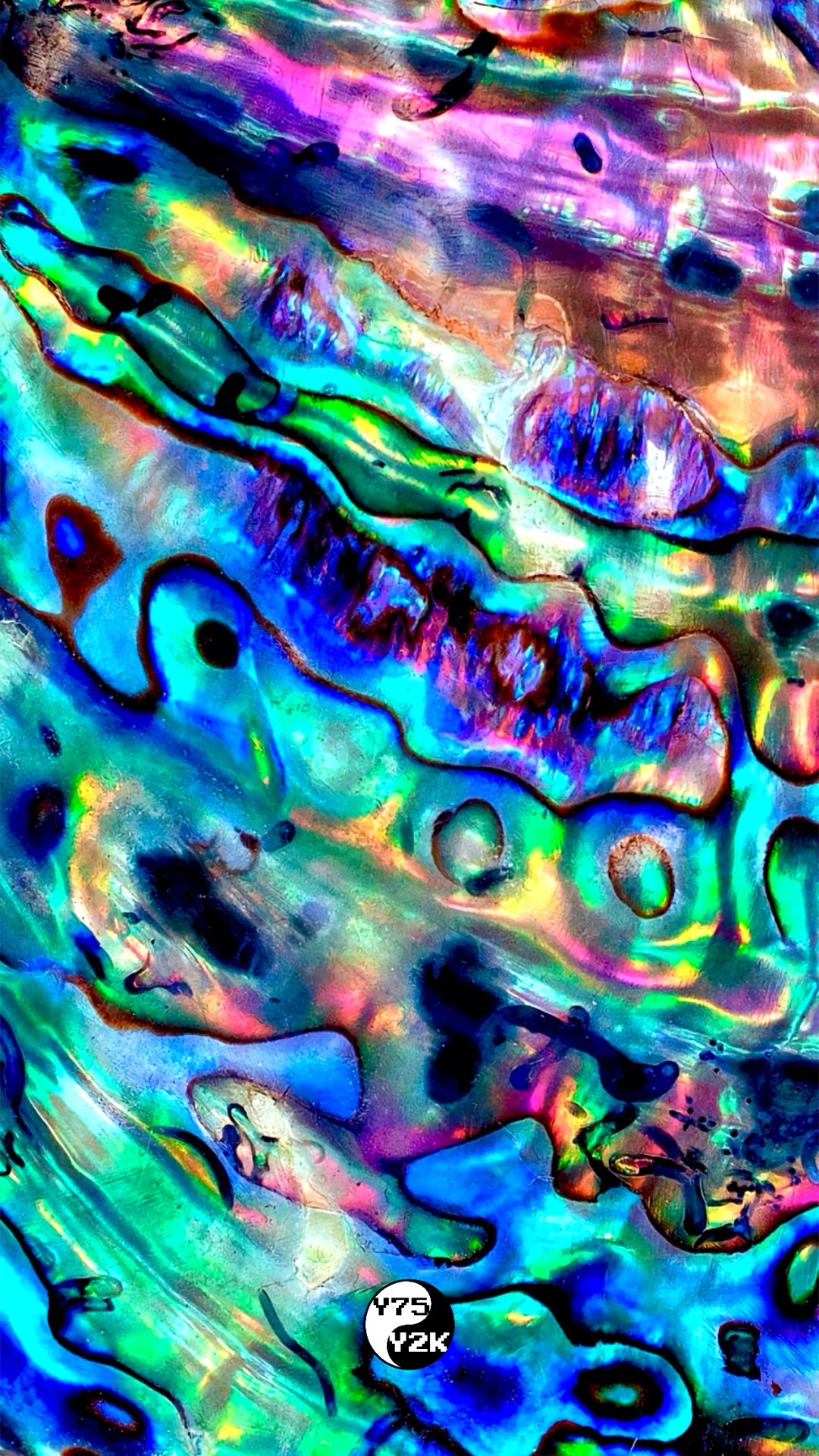 Abalone Case