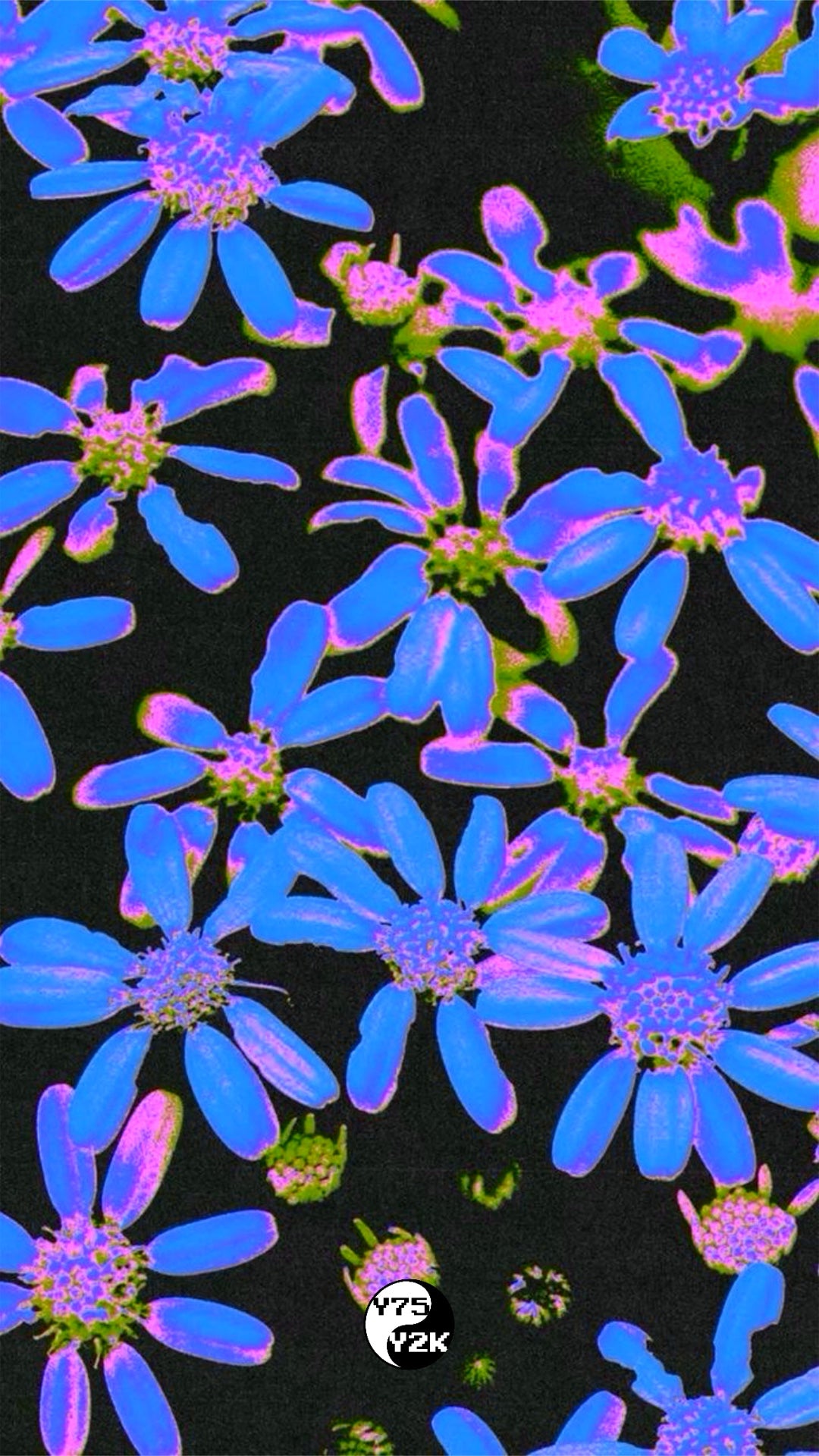Acid Aster Case