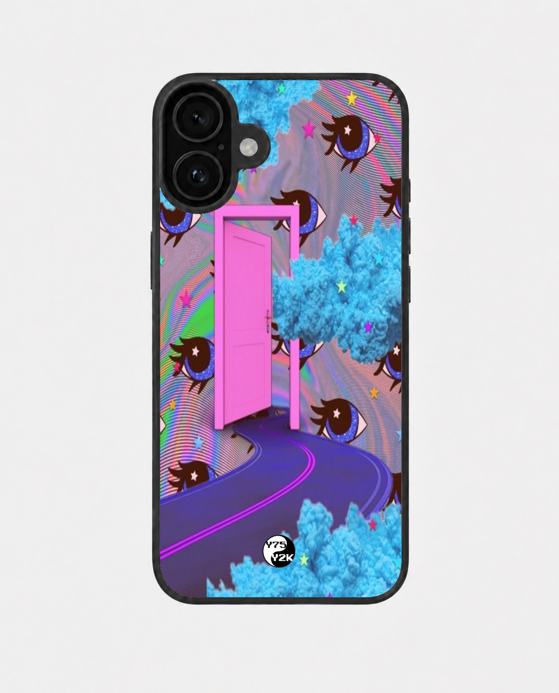 2013 Case