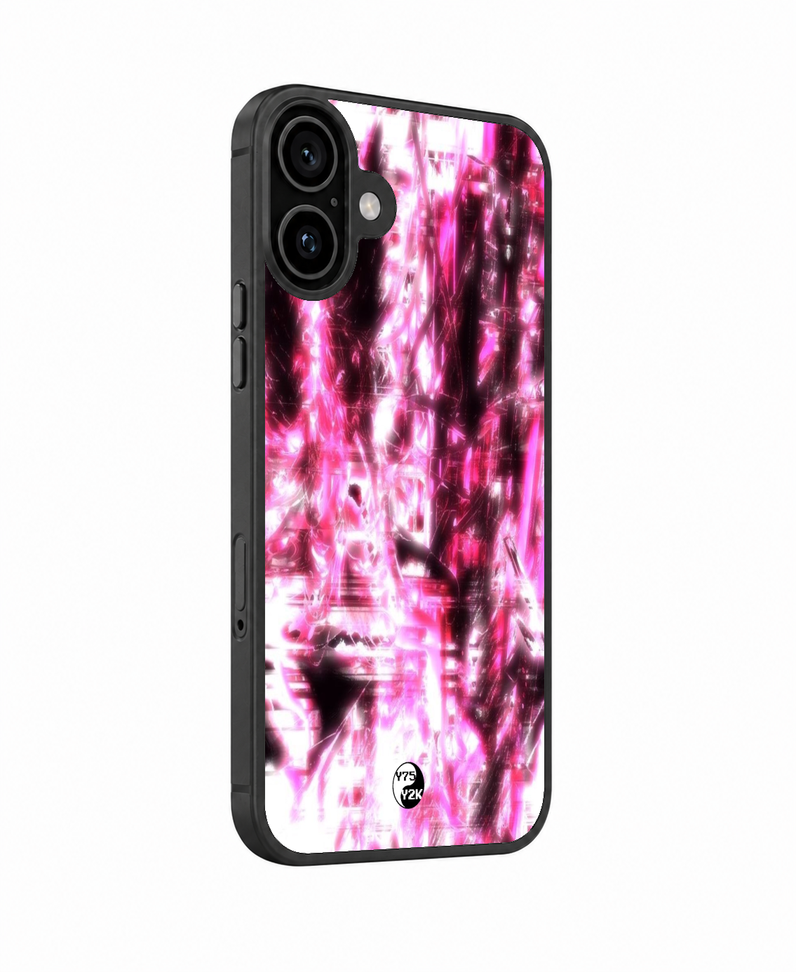 Cyber Cerberus Case