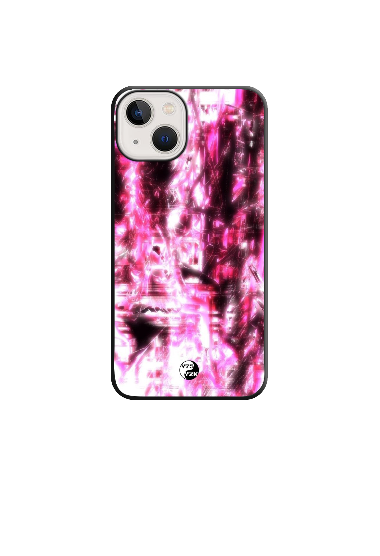 Cyber Cerberus Case
