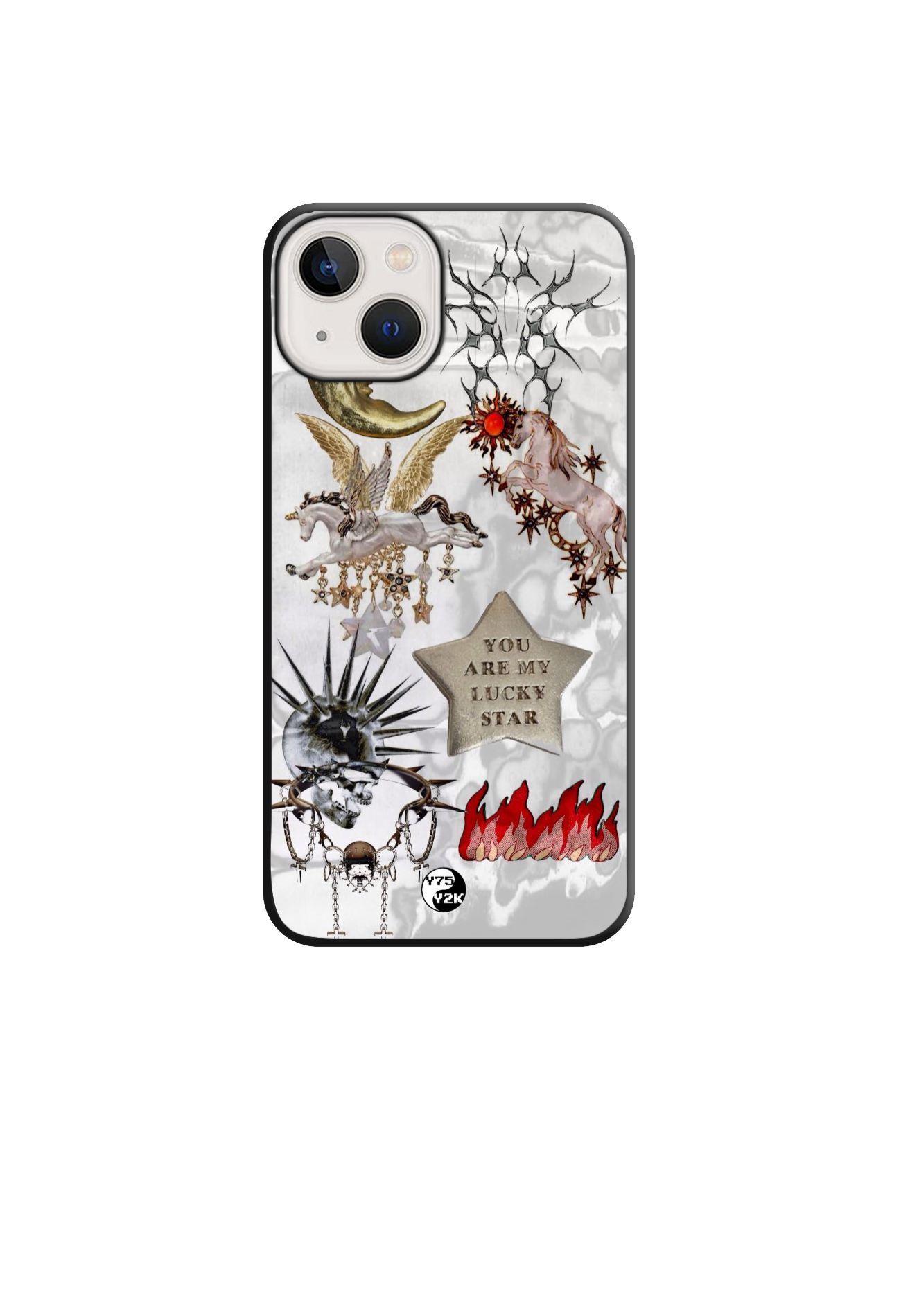 Pegasus Case
