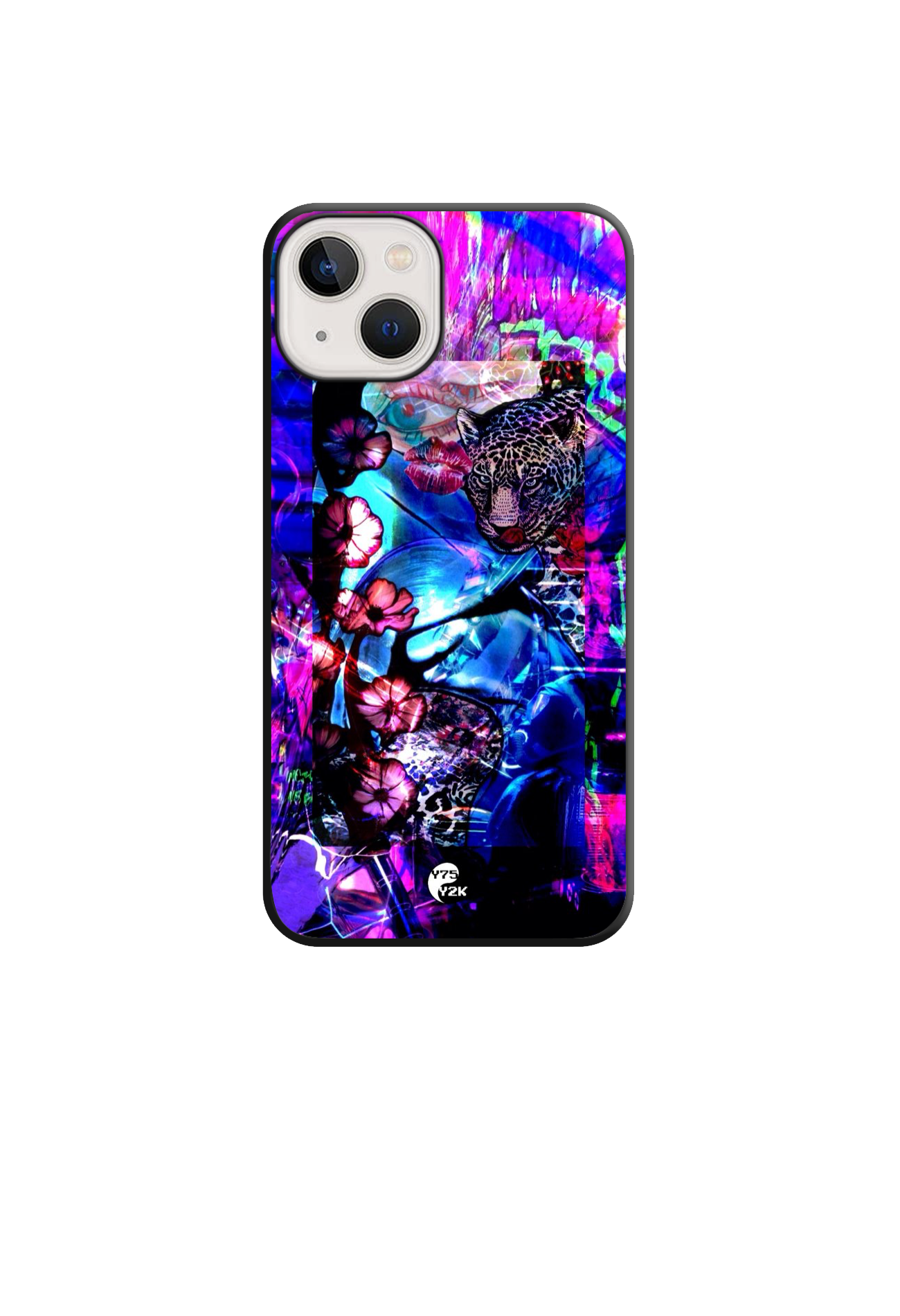 Cyber Tiger Case