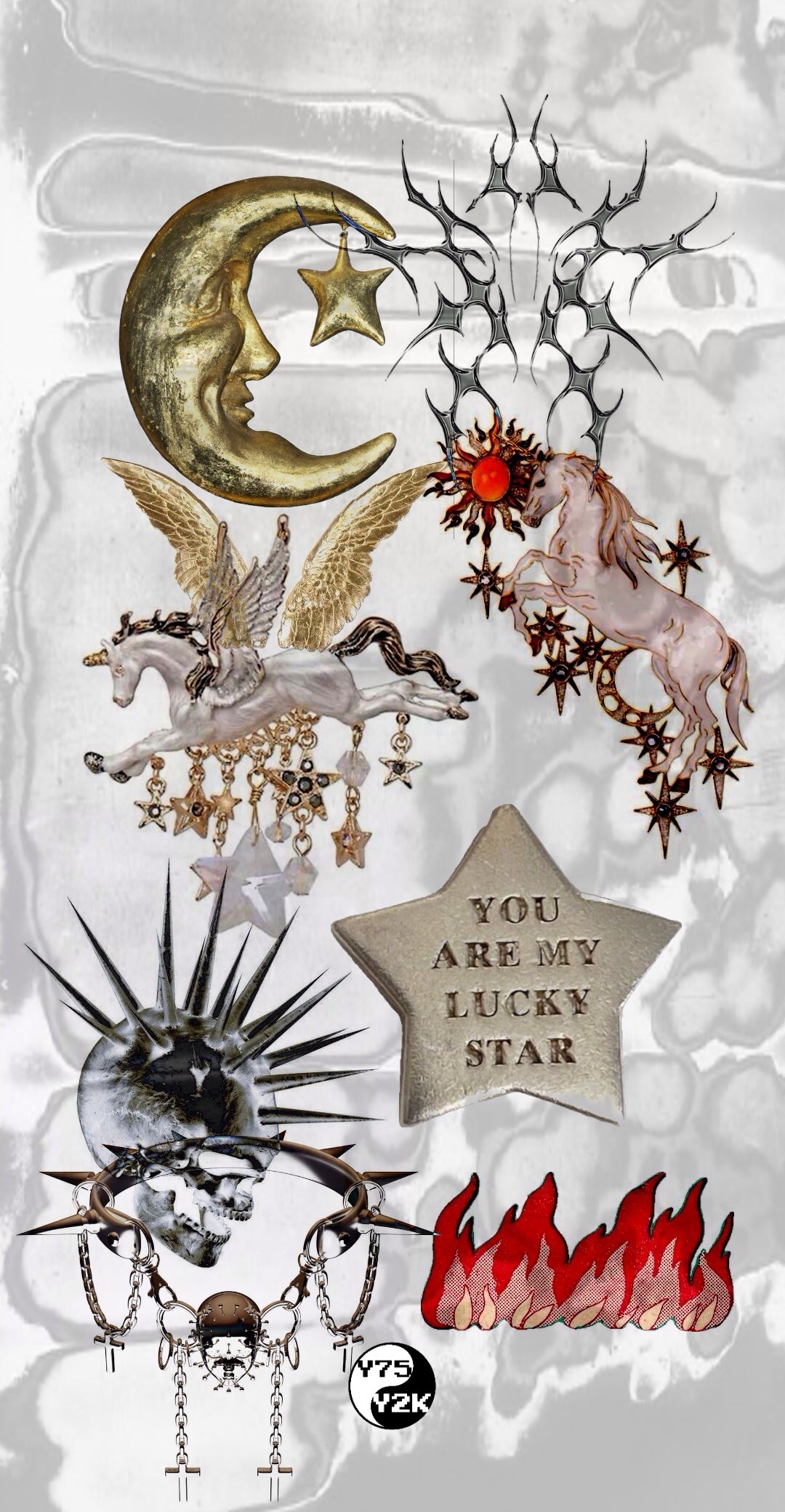 Pegasus Case