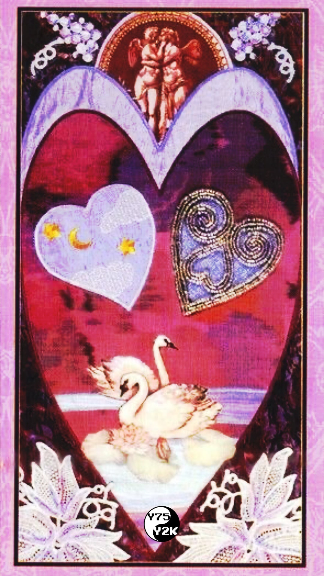 Swan Lake Case