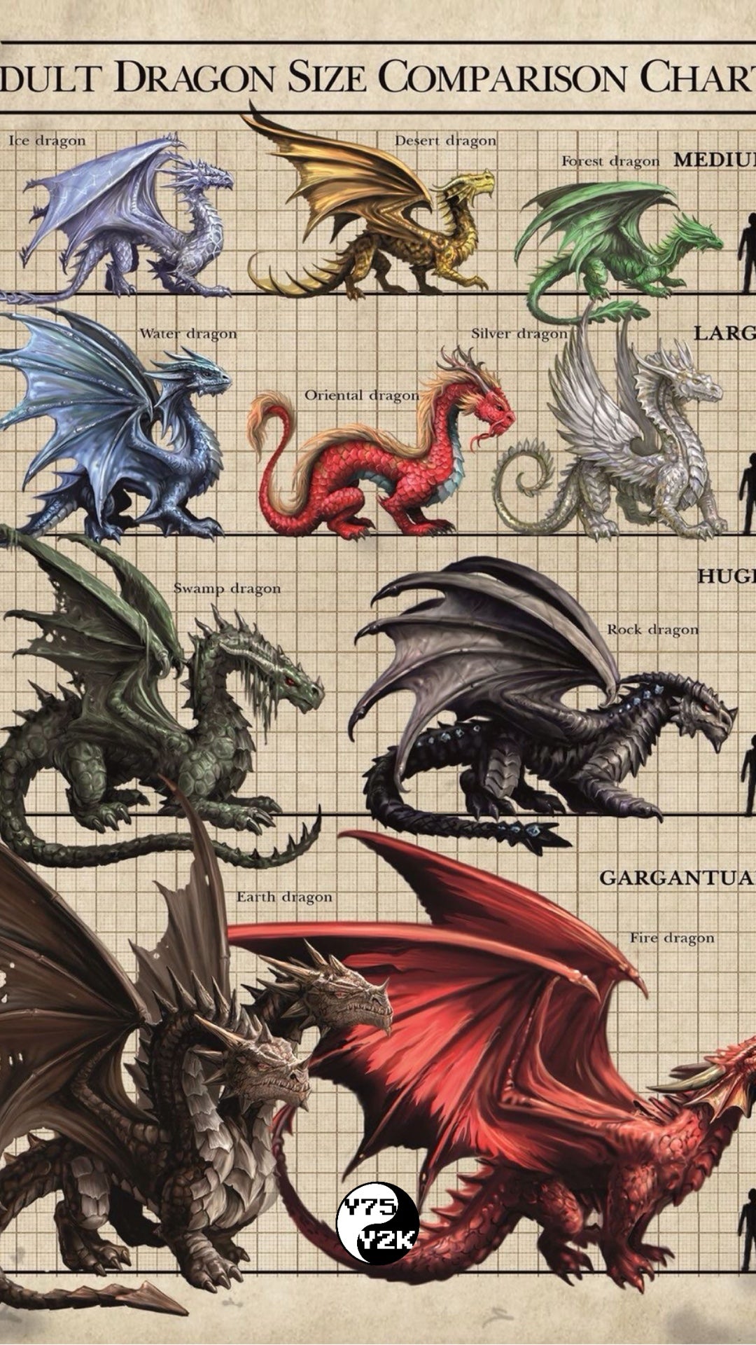 Dragon Data Case
