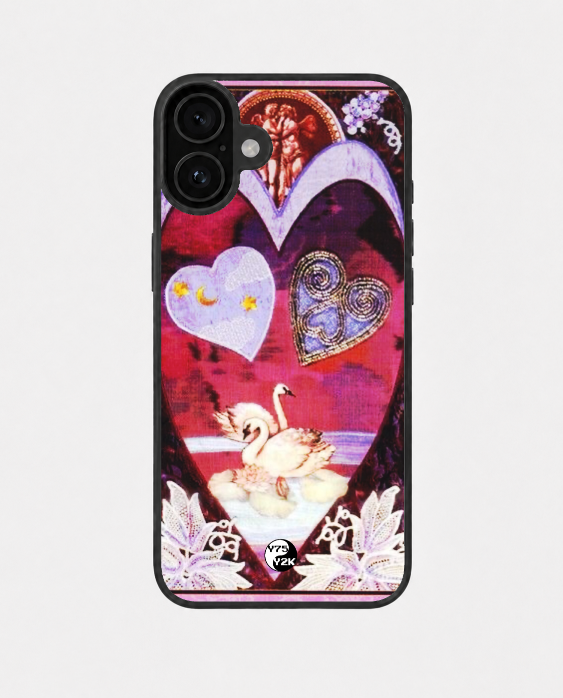 Swan Lake Case
